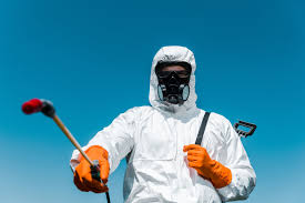 Best Fumigation Services  in Vaville, CA